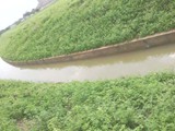 Galaxy Techno Projects Pvt Ltd Activities  carried out by us range from Developing National Highway Projects, concrete structures like Railway over bridges, Flyovers and many infrastructure development projects, Irrigation works like Excavation of Canals and lining, Spillways, Construction of Storage Reservoir etc
